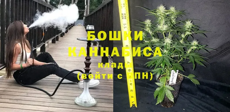 дарнет шоп  Комсомольск  МАРИХУАНА SATIVA & INDICA 